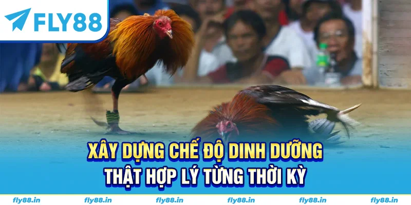 Xây dựng chế độ dinh dưỡng thật hợp lý từng thời kỳ